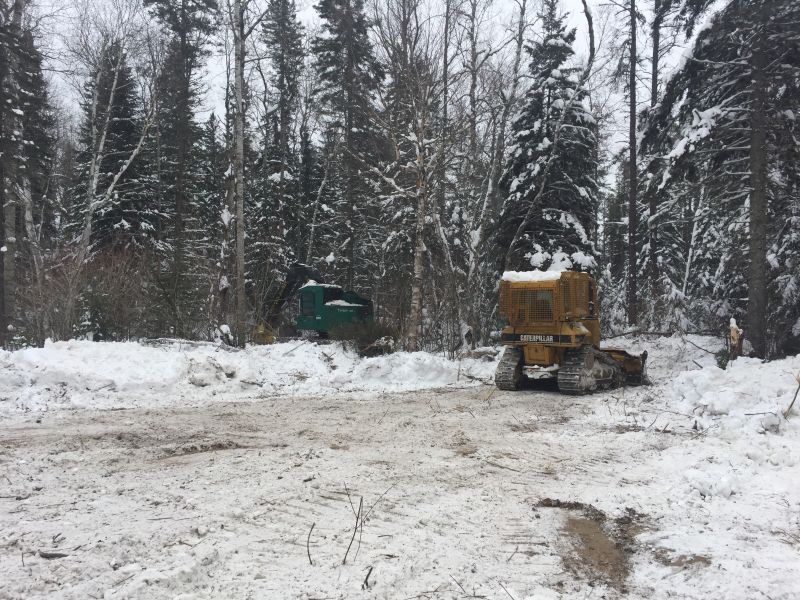 Forest Operations at Wishart Conservation Area